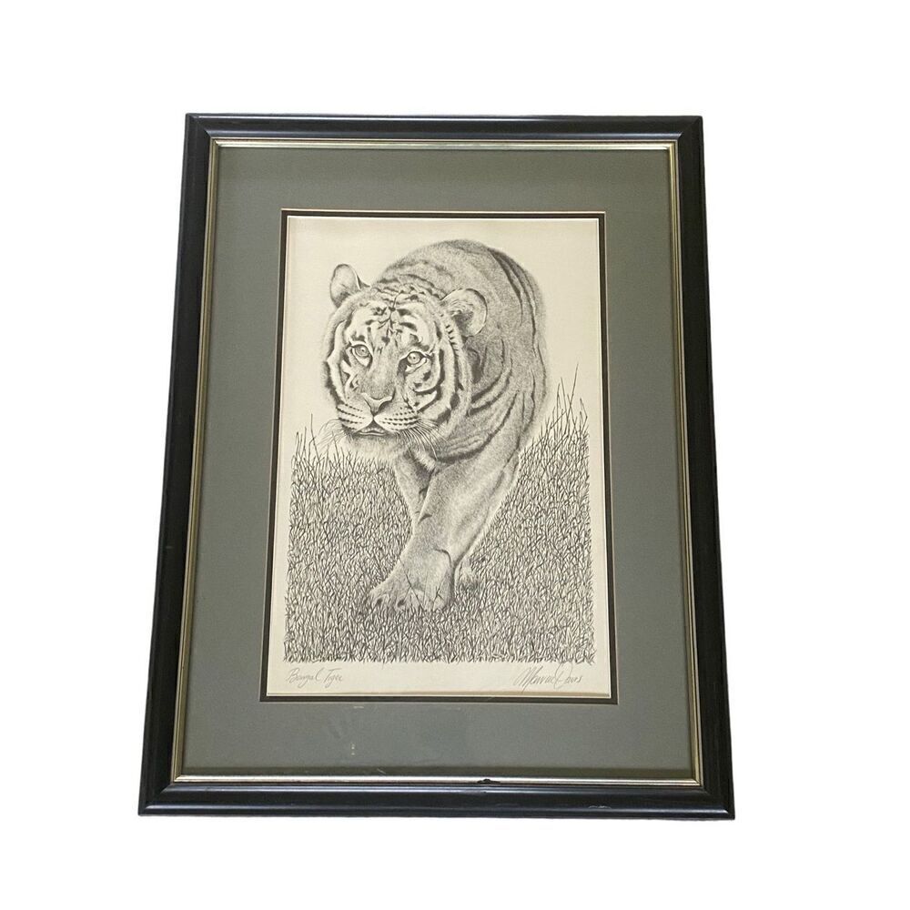 Bangal Tiger Etching Print signed Warren Davis 20” x 26”